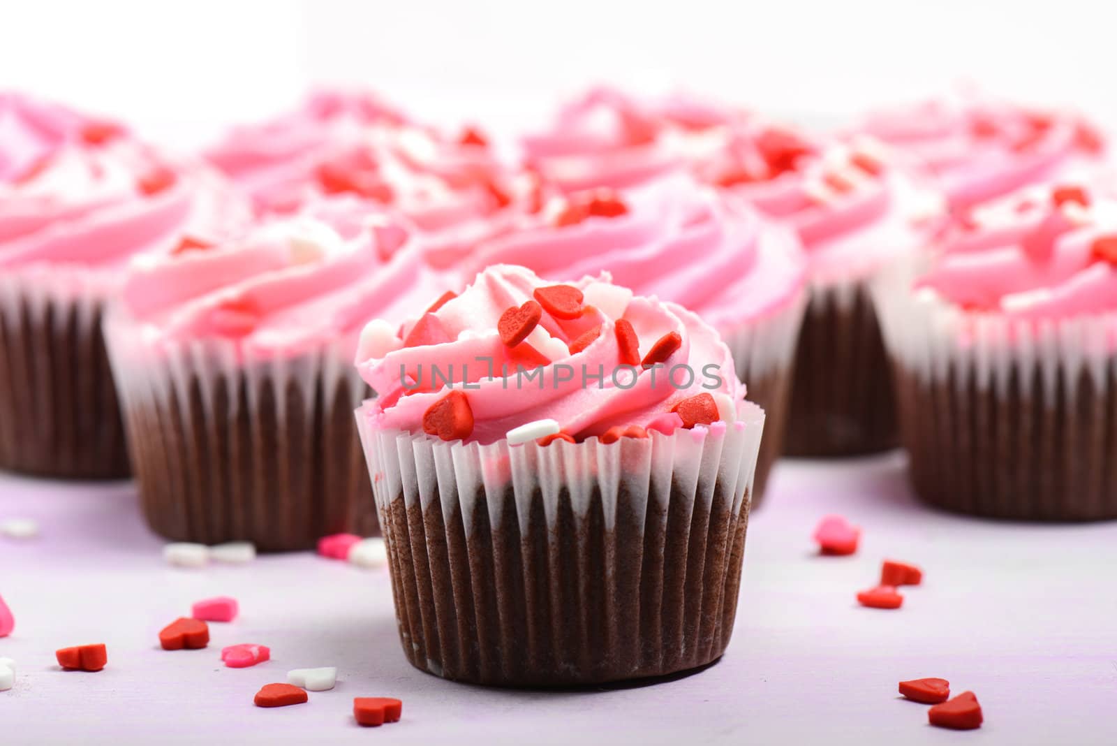 Pink Cupcakes