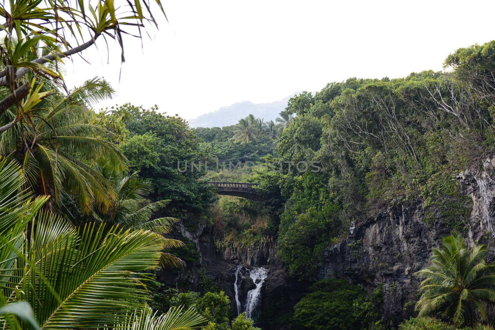Bridge in Maui on the Road to Hana by bbourdages