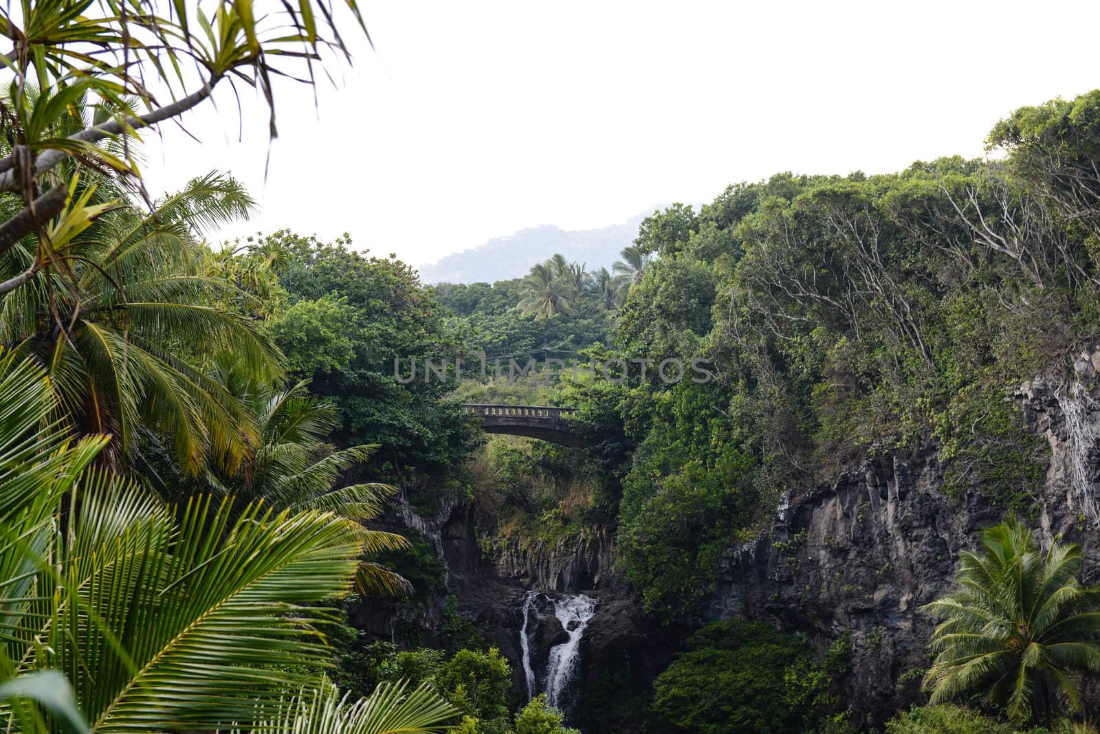 Bridge in Maui on the Road to Hana