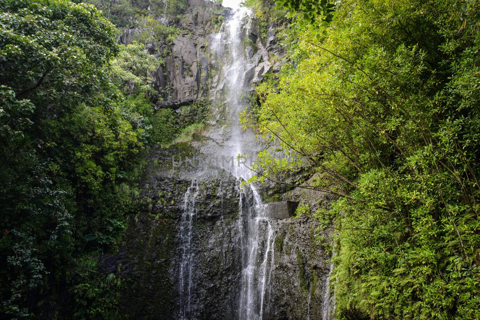 Waterfall in Maui Hawaii along the road to Hana