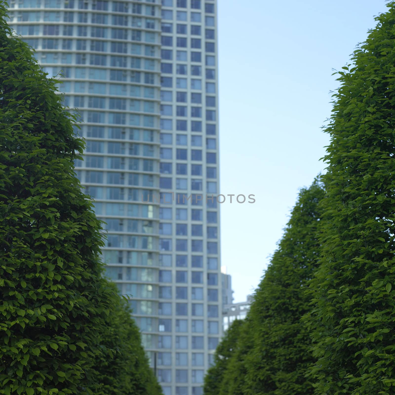 Trees and modern building by mmm