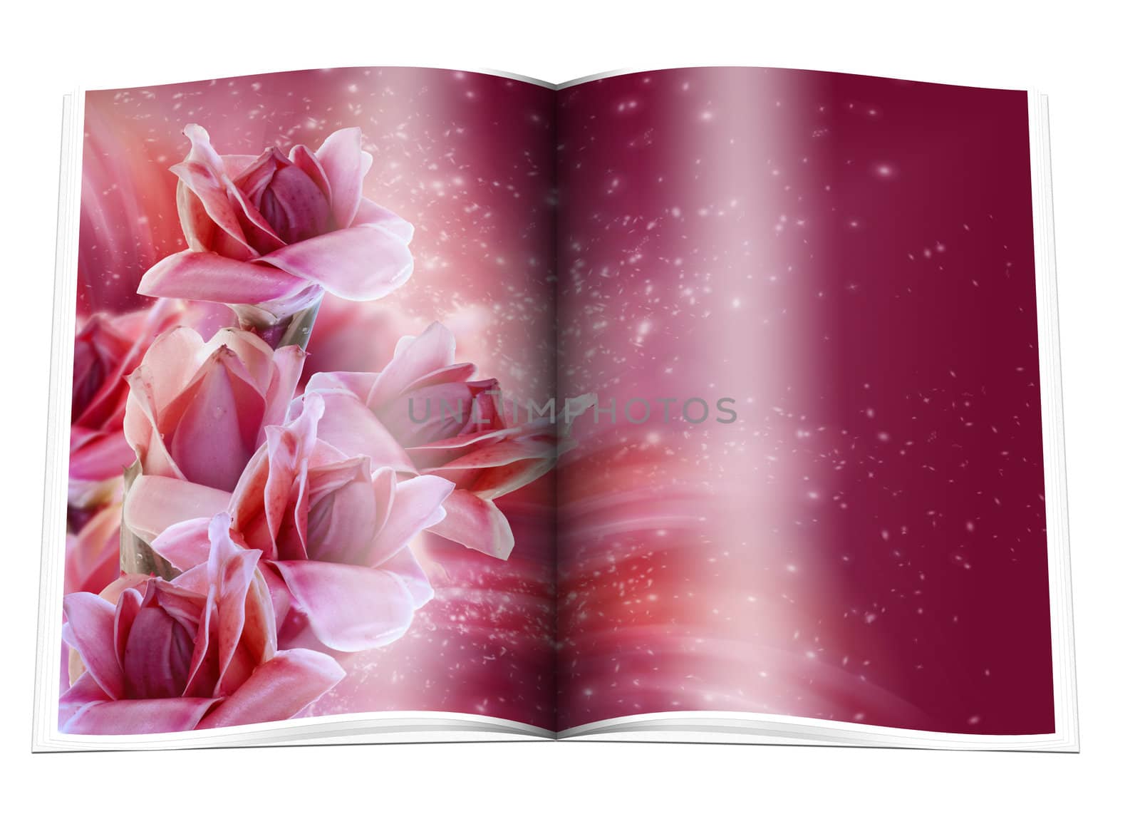 book whith the typical tropical rain forest flowers and stars