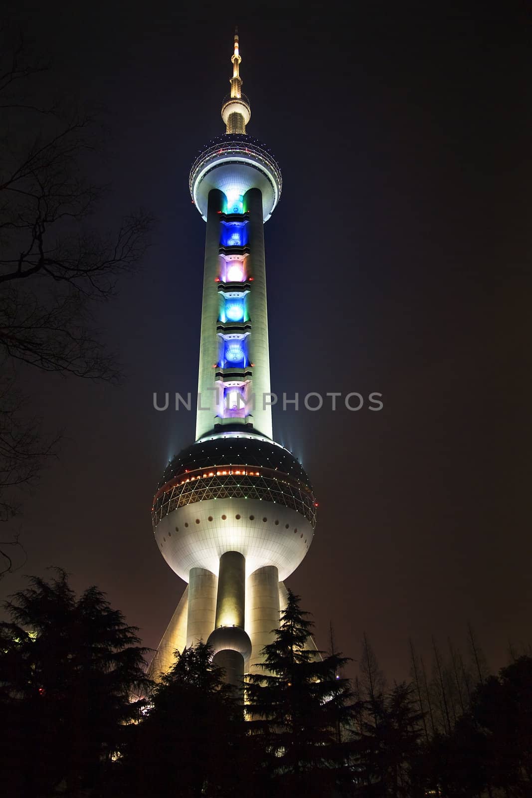 Shanghai TV Tower at Night With Trees Pudong China by bill_perry