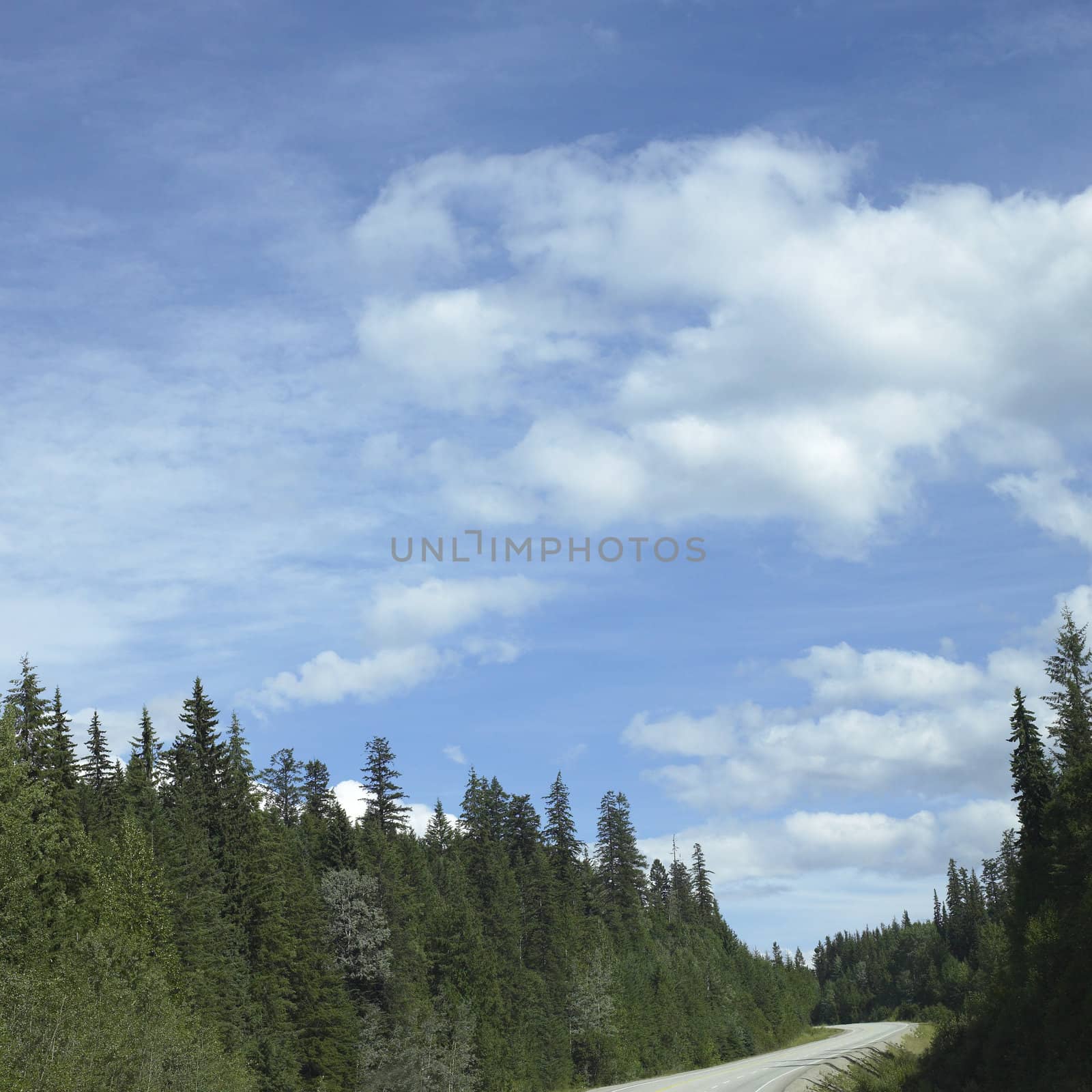 Winding Road through the mountains