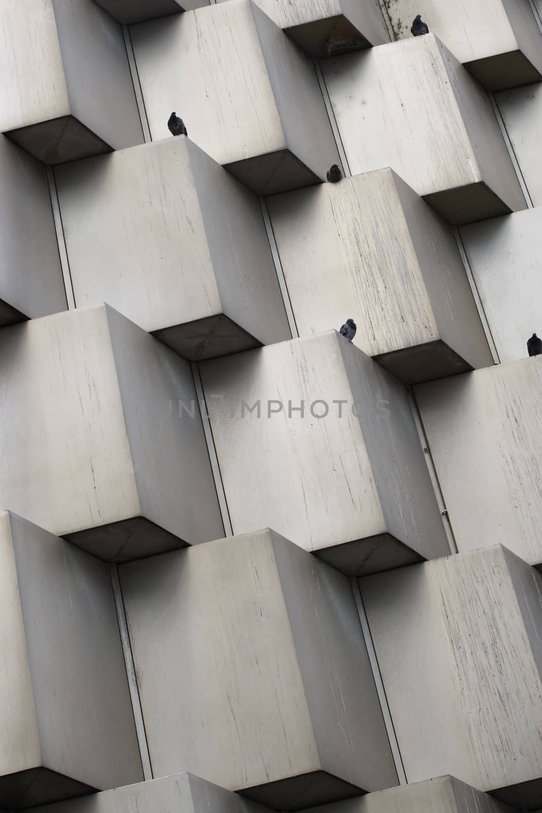 Abstract photo of a building facade with pigeons perched on top of the cubes.