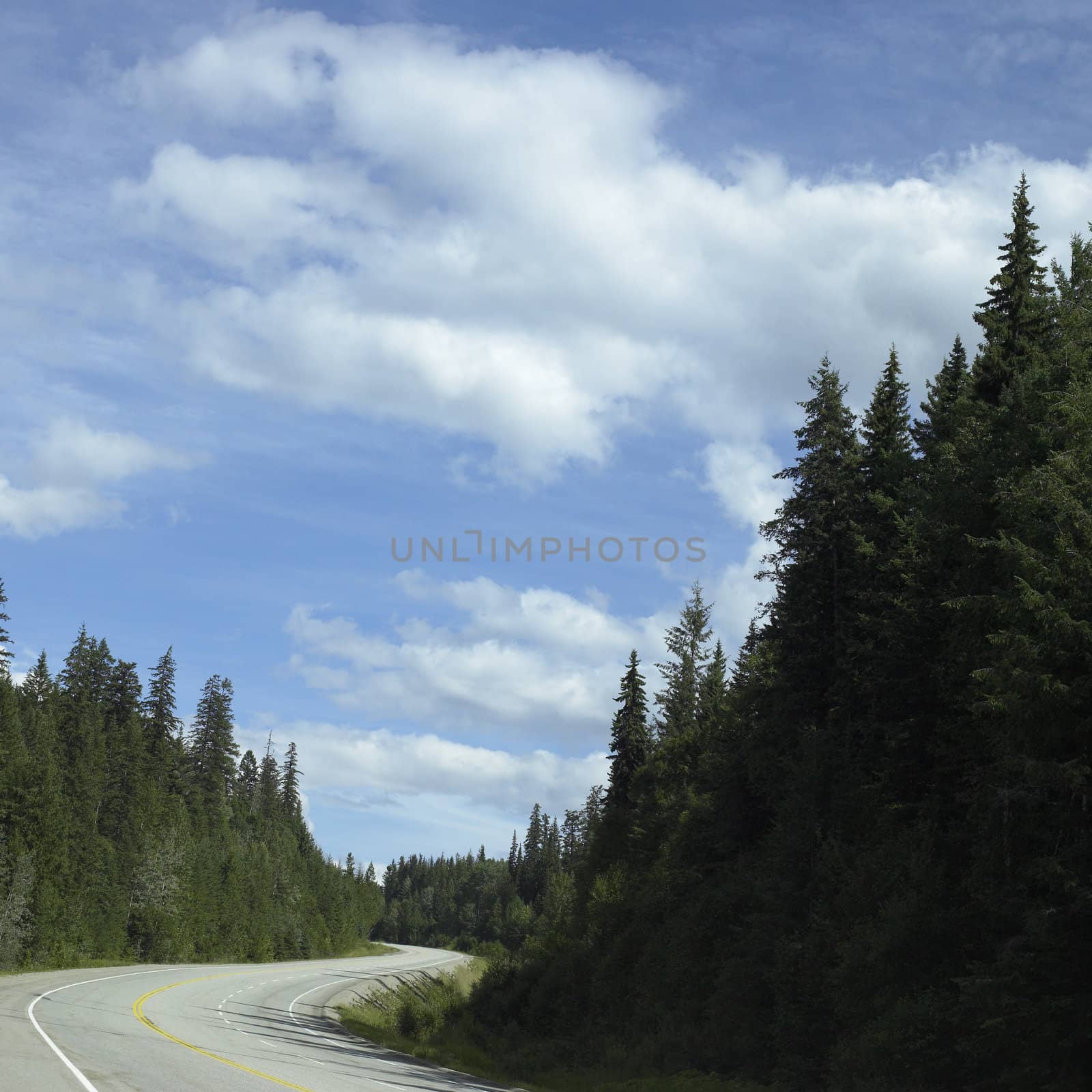 Winding Road through the mountains