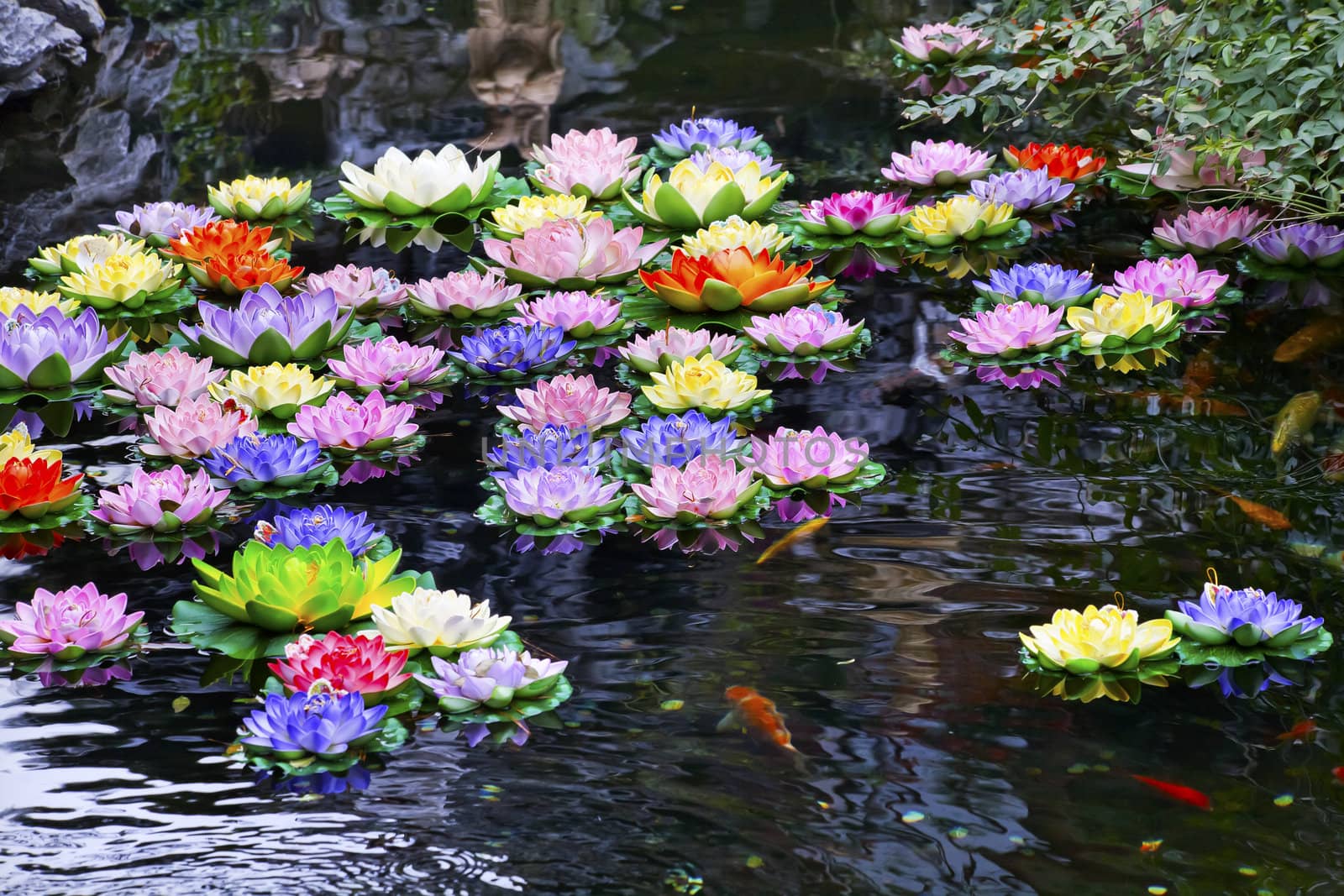 Carp Pond Colorful Artificial Water Lillies Jade Buddha Temple Jufo Si Shanghai China Most famous buddhist temple in Shanghai