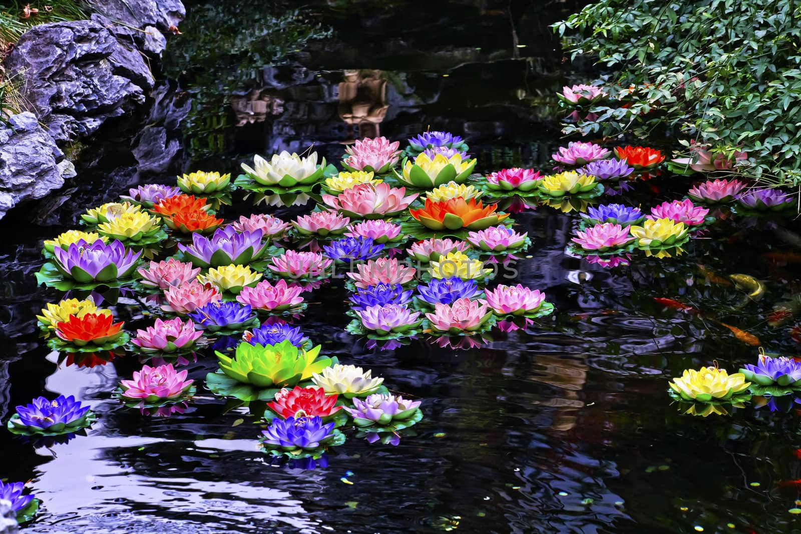 Carp Pond Colorful Artificial Water Lillies Jade Buddha Temple Jufo Si Shanghai China Most famous buddhist temple in Shanghai