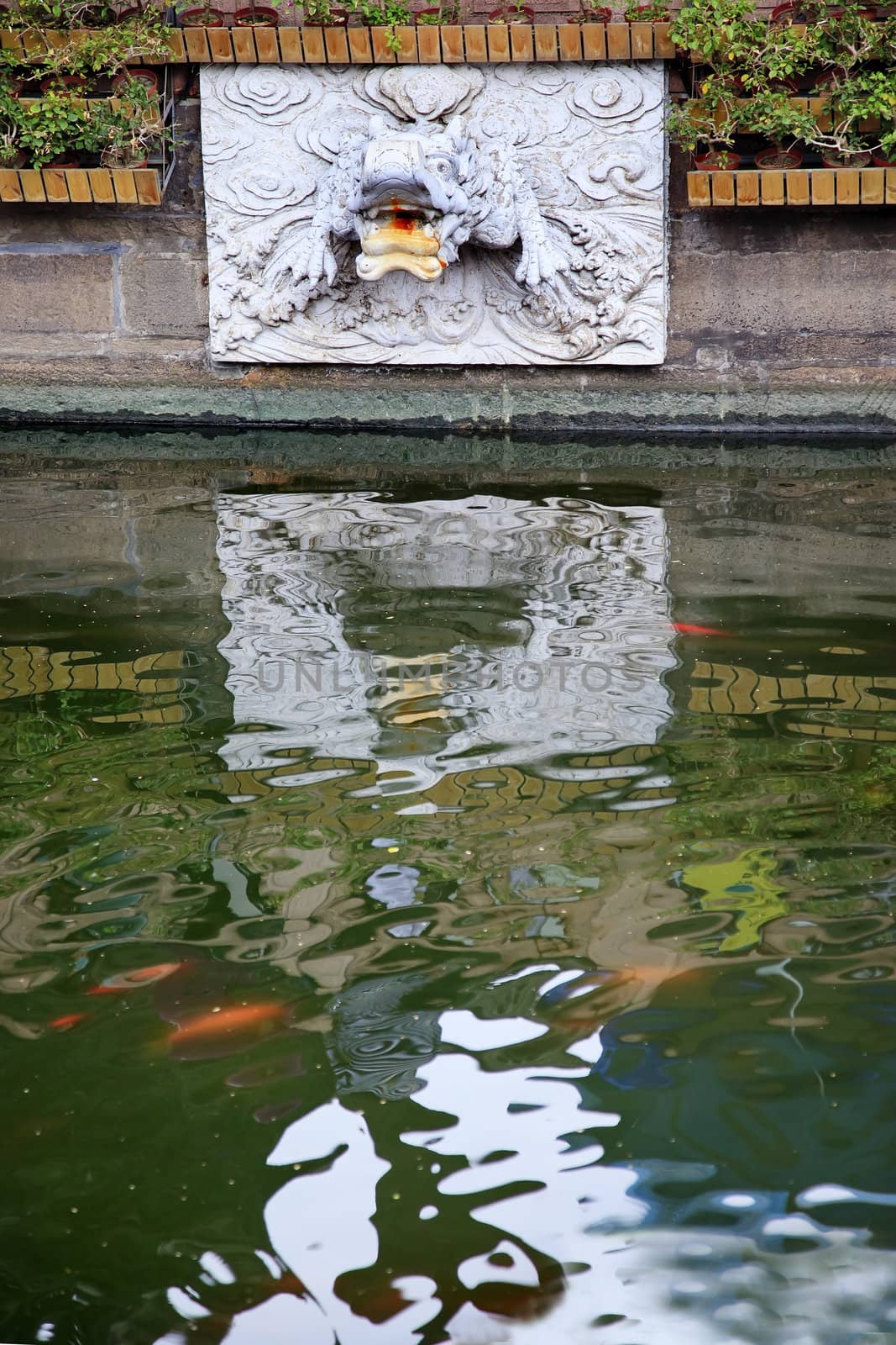 Dragon Water Spout Shanghai Yuyuan Garden with Reflections China by bill_perry