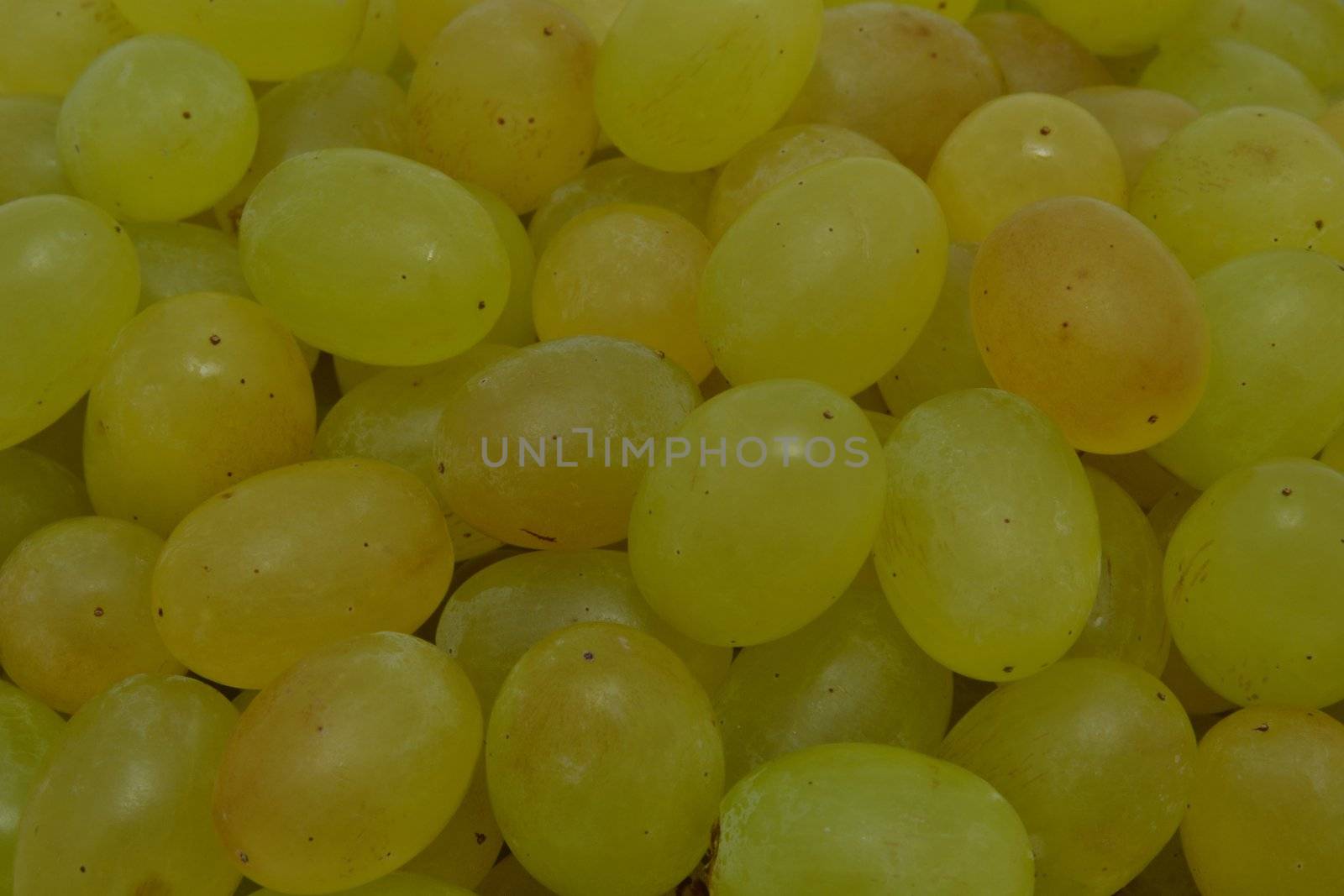 The fresh green grape  background