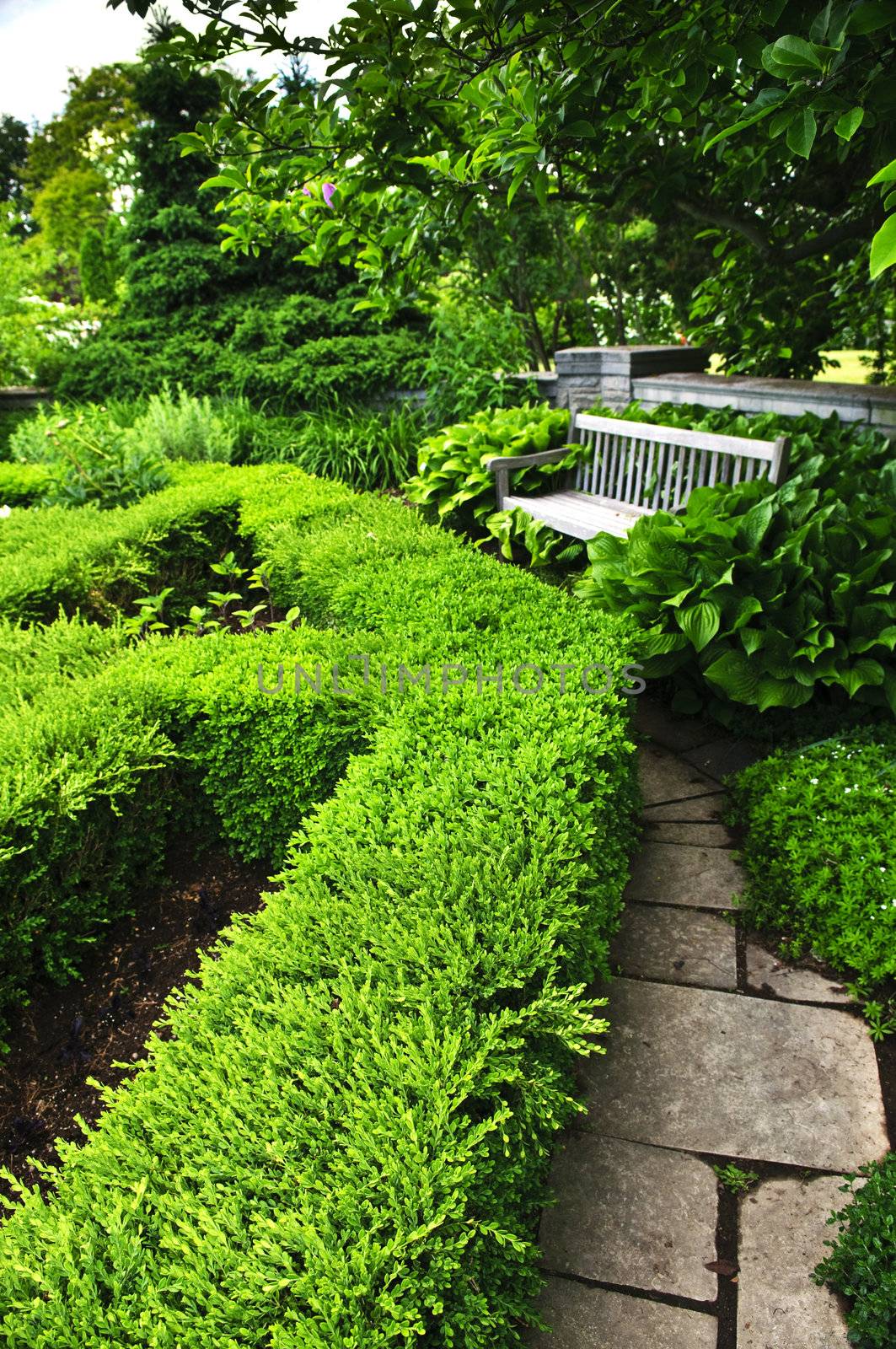 Lush green garden with stone landscaping, hedge, path and bench