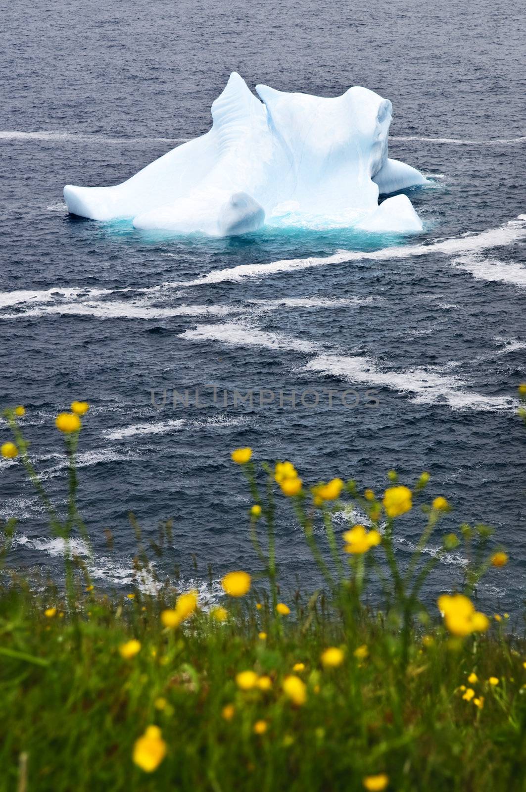 Melting iceberg off the coast of Newfoundland, Canada