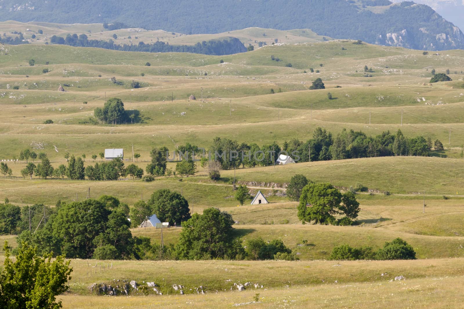 Balkans landscape, Durmitor national park in Montenegro.