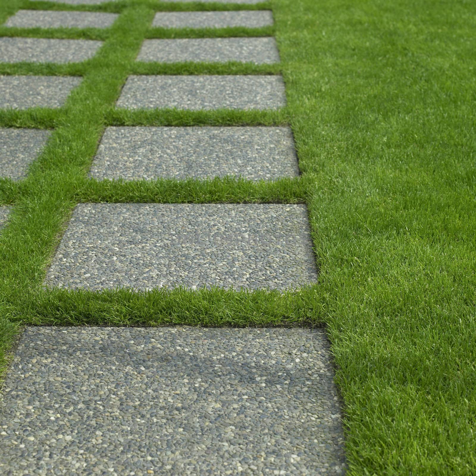 Manicured grass and stone tiles