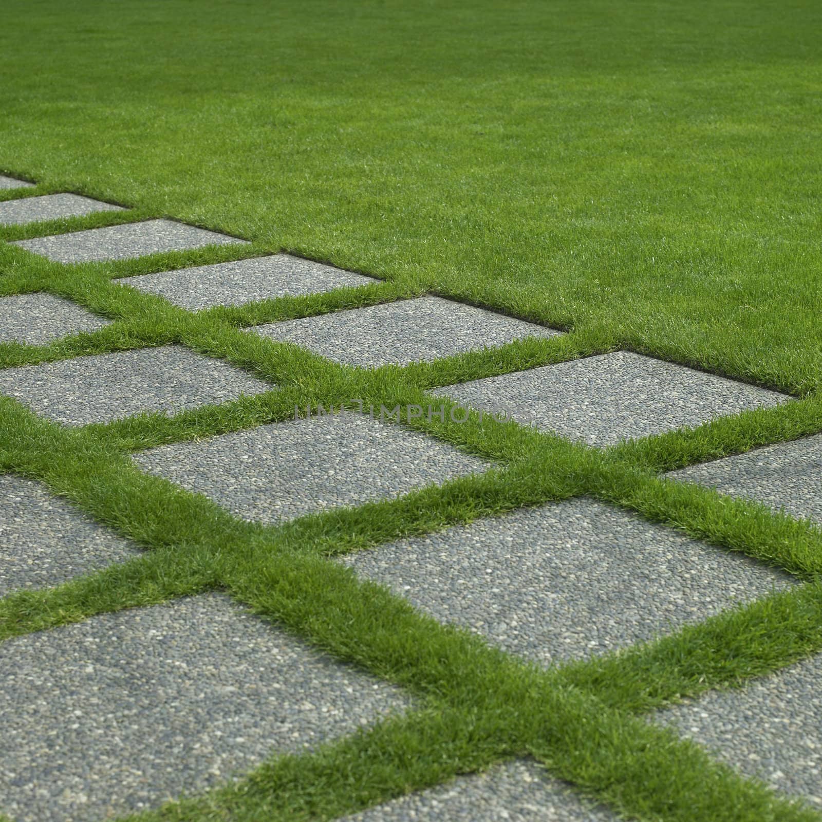 Manicured grass and stone tiles