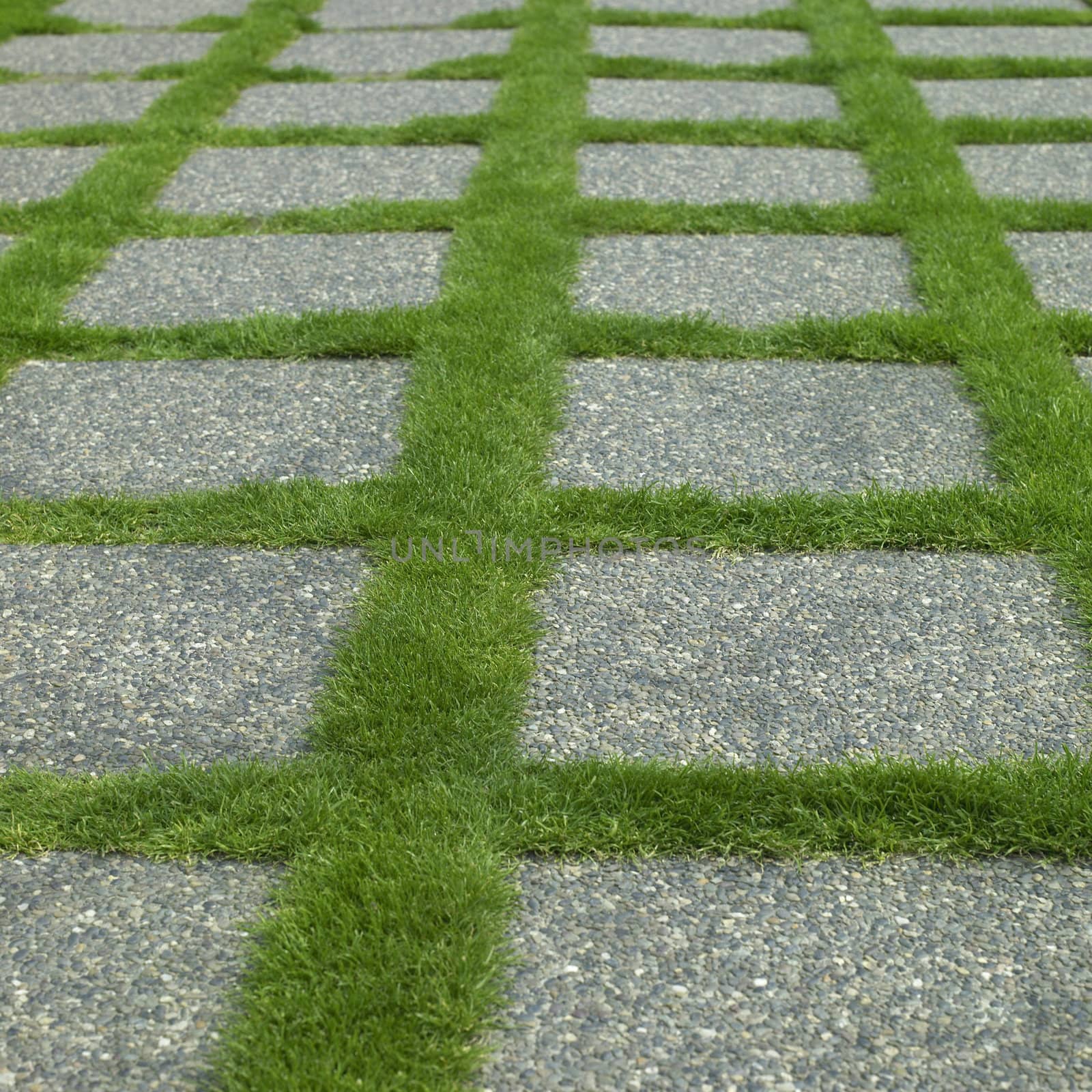Manicured grass and stone tiles