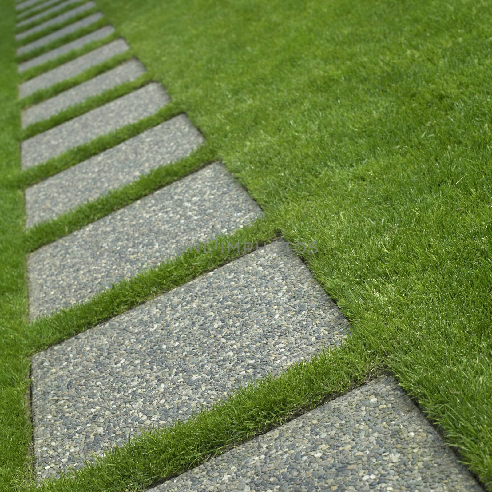 Manicured grass and stone tiles