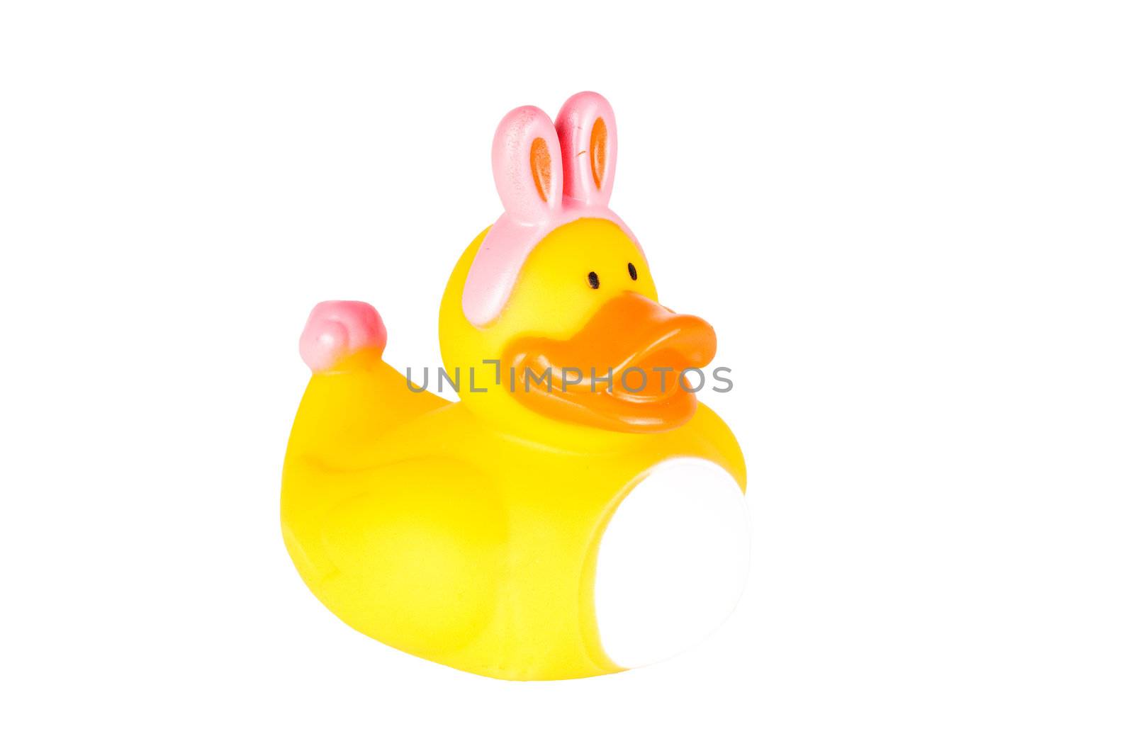 Rubber duck wearing pink Easter bunny ears and tail.  Isolated on White.