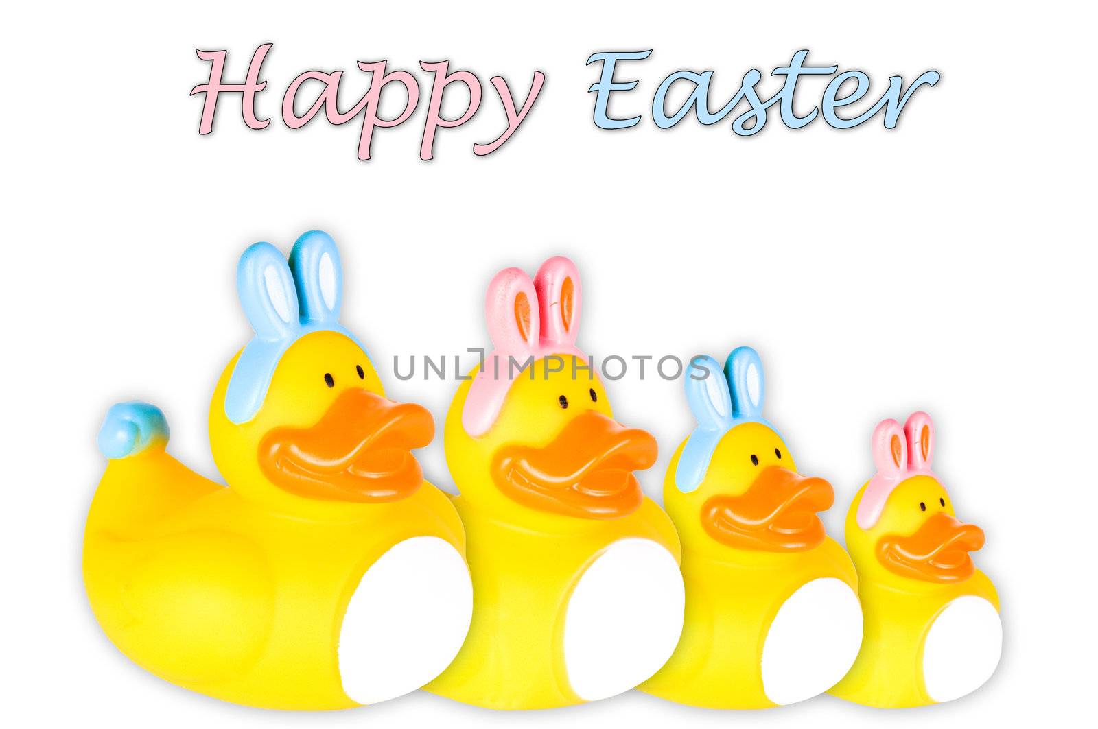 Family of four Rubber duckies with pink and blue Easter bunny ears and tail.  Isolated on White.