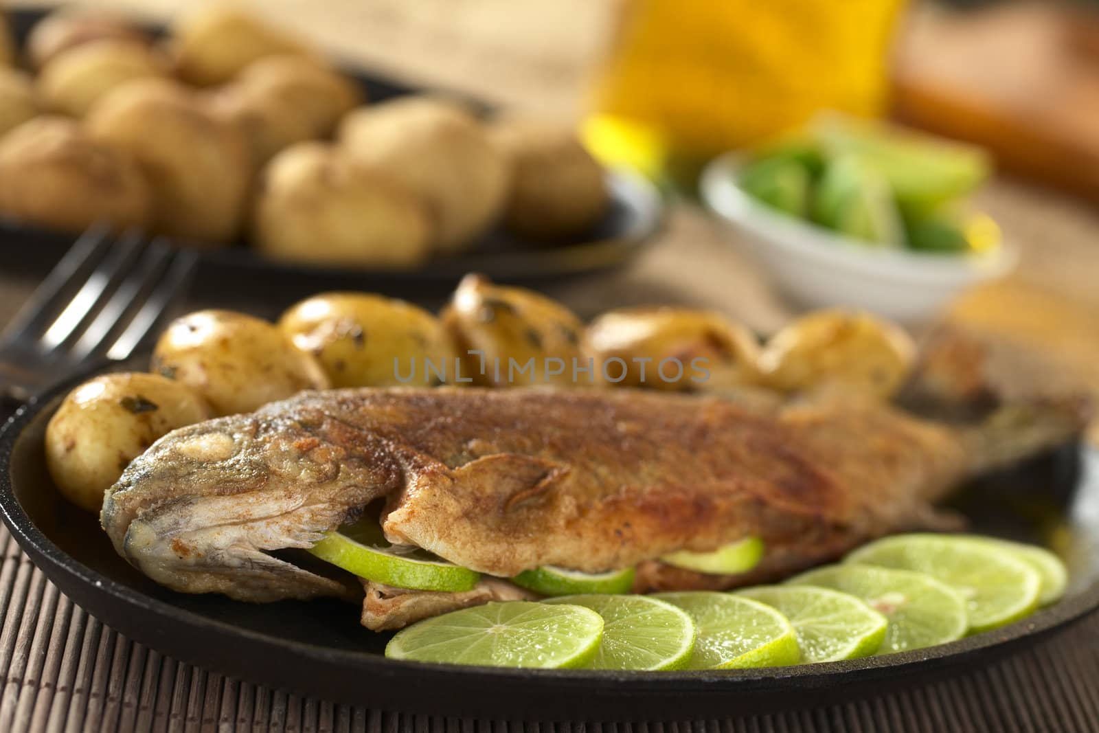 Fried trout with lime slices and potatoes with parsley in lime juice (Selective Focus, Focus on the lower part of the head)