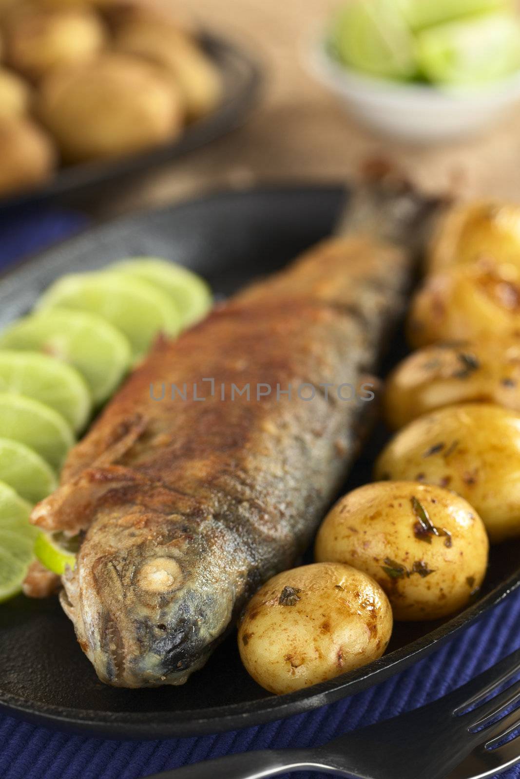 Fried trout with lime slices and potatoes with parsley in lime juice (Selective Focus, Focus on the eye of the fish)