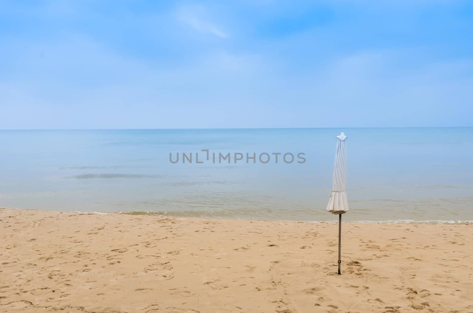Beach umbrella and white does not was spread out with.