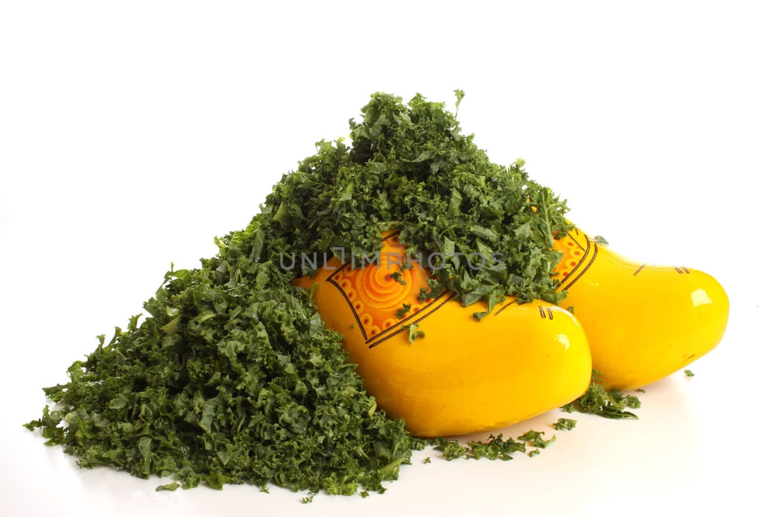 Healthy fresh borecole in a typical Dutch setting
