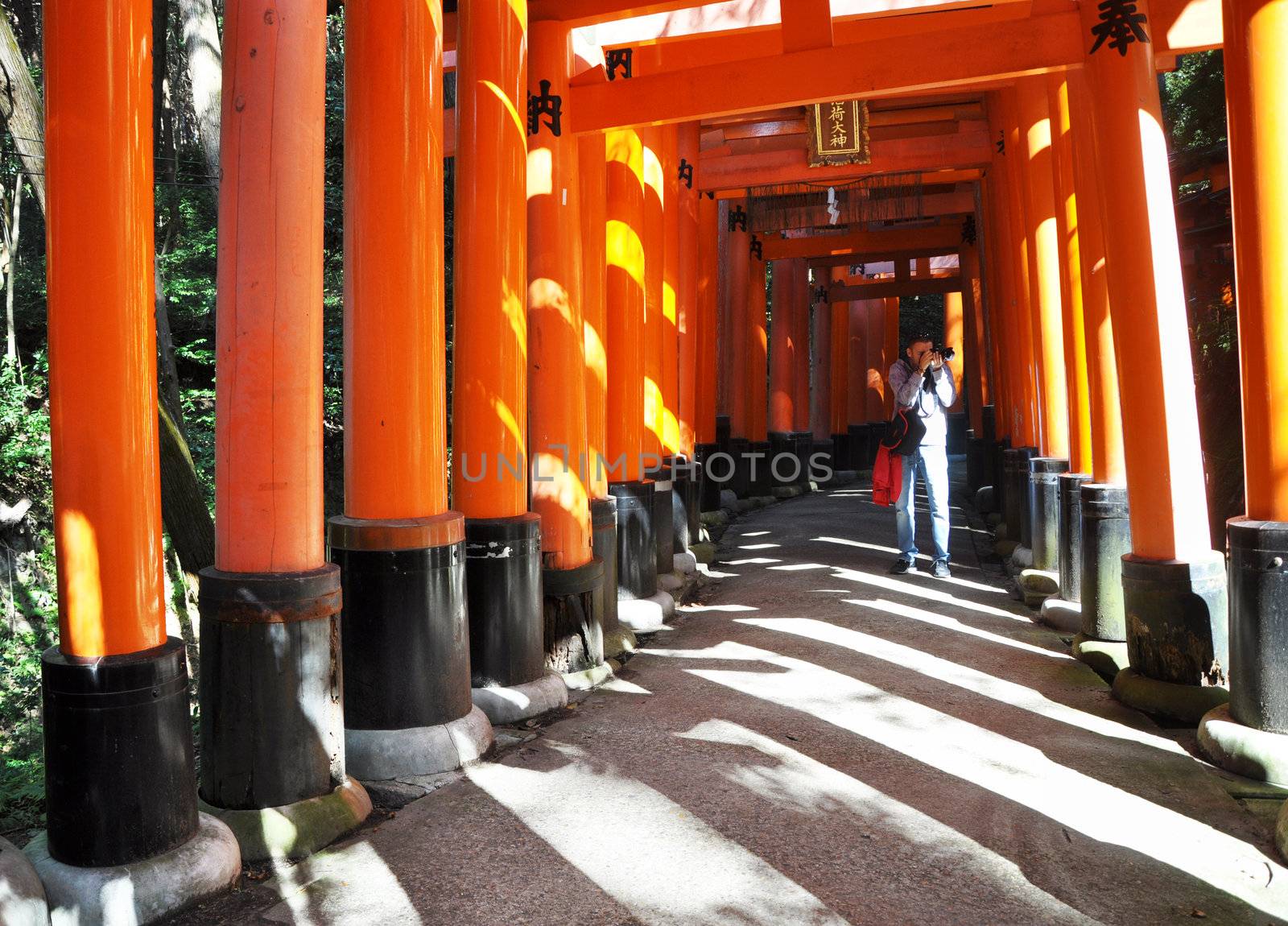 KYOTO, JAPAN - OCT 23 2012: A man takes photos of torii gates at by siraanamwong