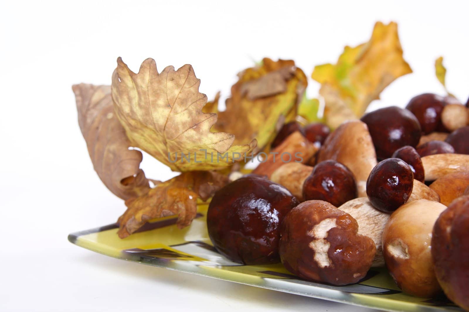 boletus on plate