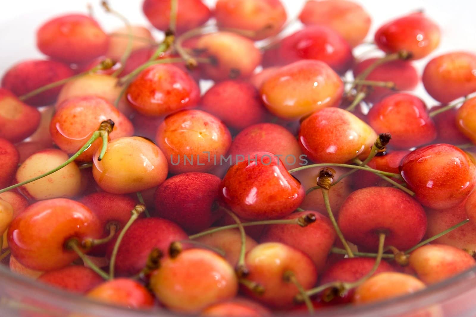 cherries in water