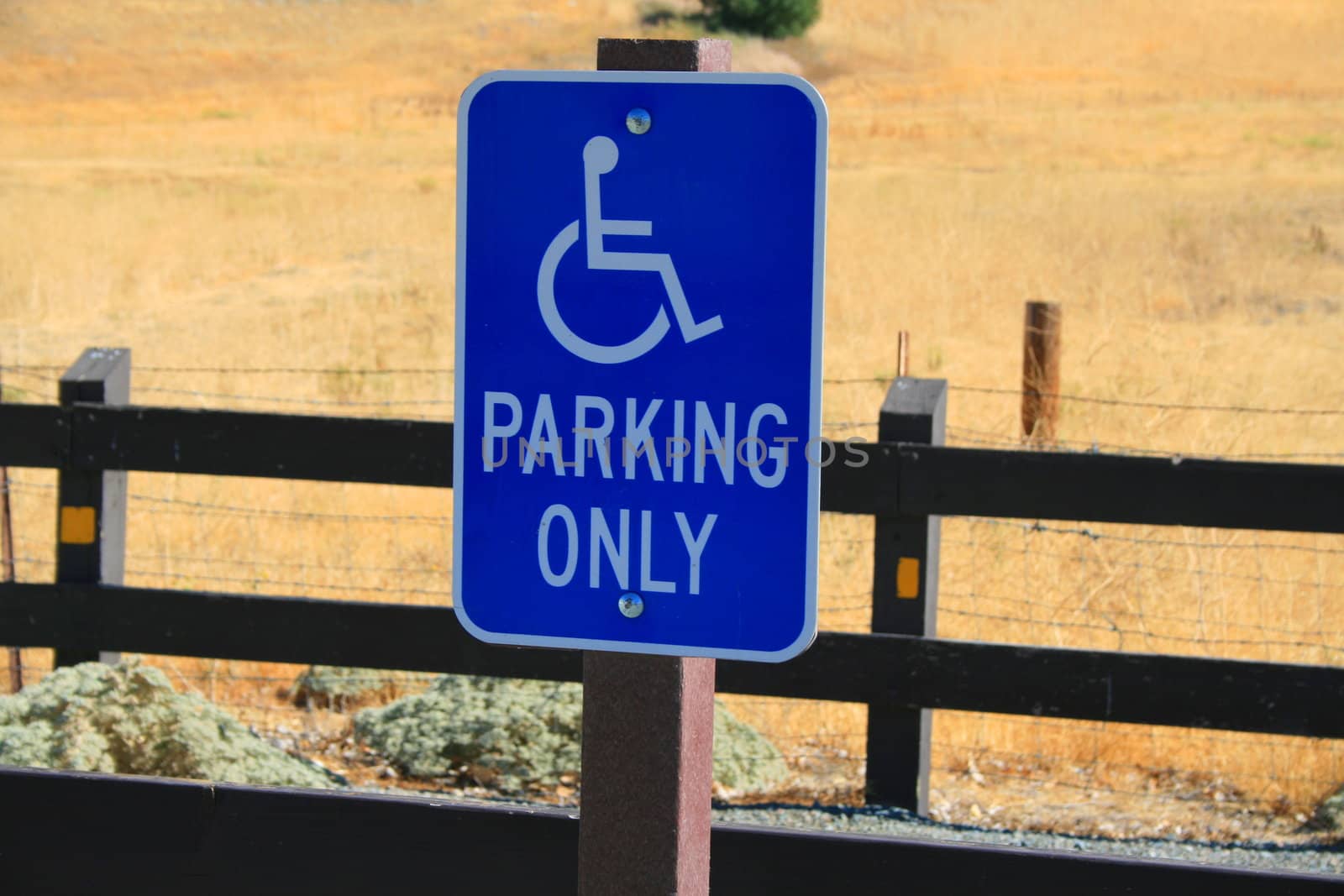 Close up of a disabled parking only sign.
