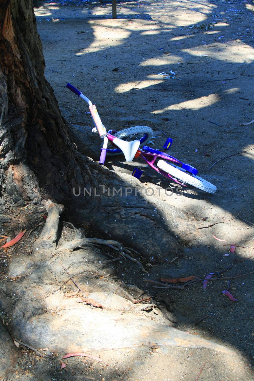 Close up of a small kids bike.