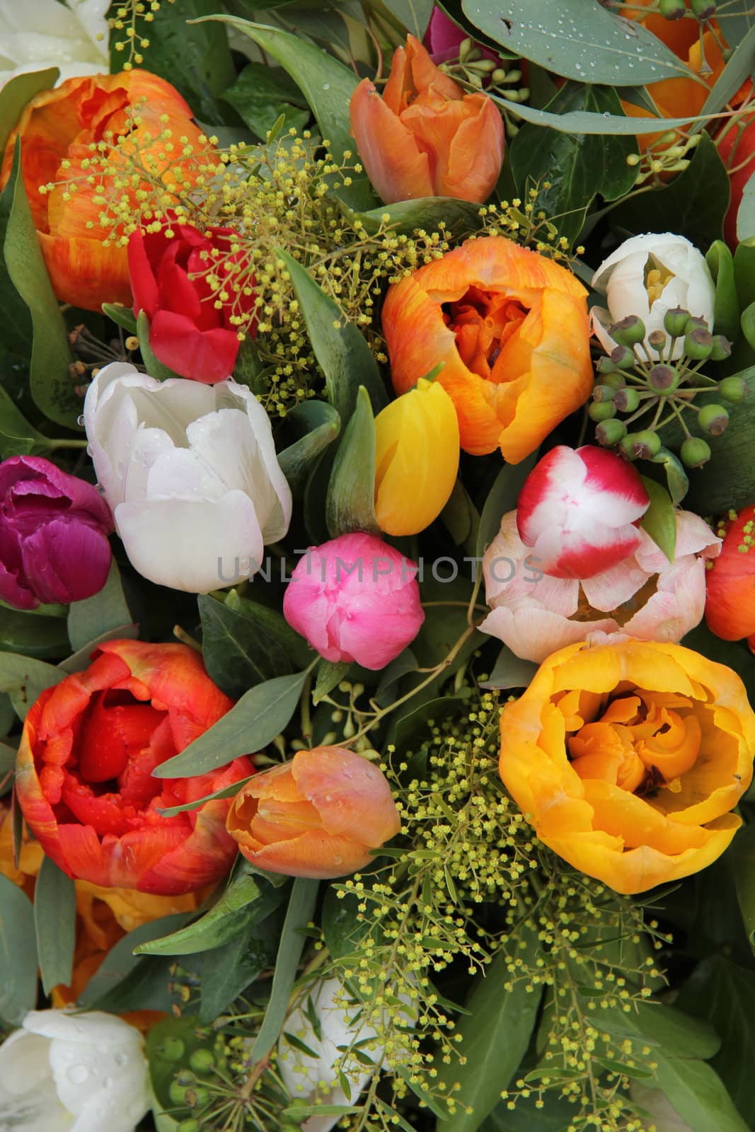 Bright colored tulips in a spin bouquet