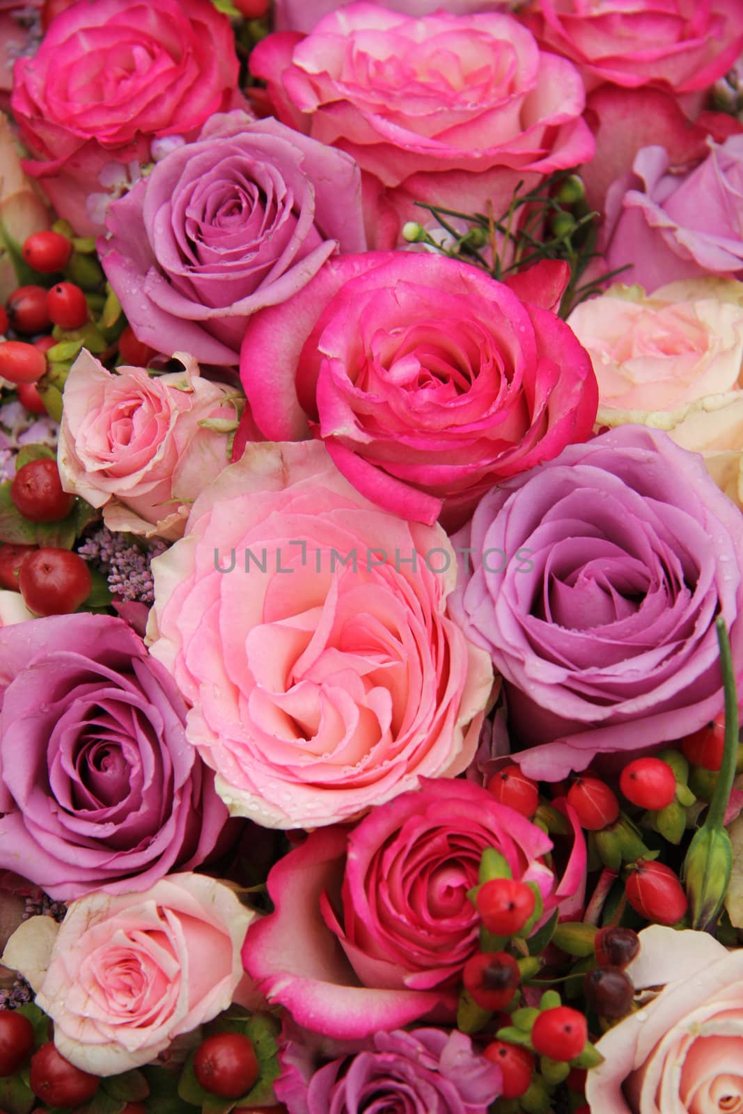 Bridal roses, wedding decorations in purple and pink