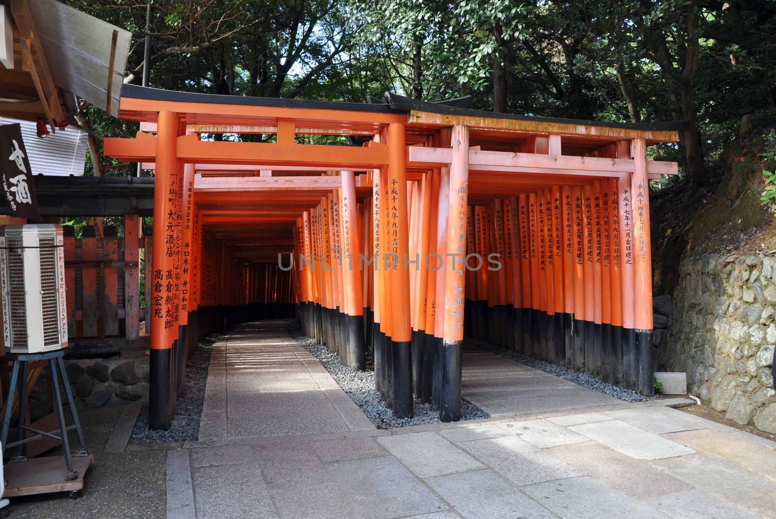 Tori gates at Fushimi Inari Shrine in Kyoto, Japan.  by siraanamwong