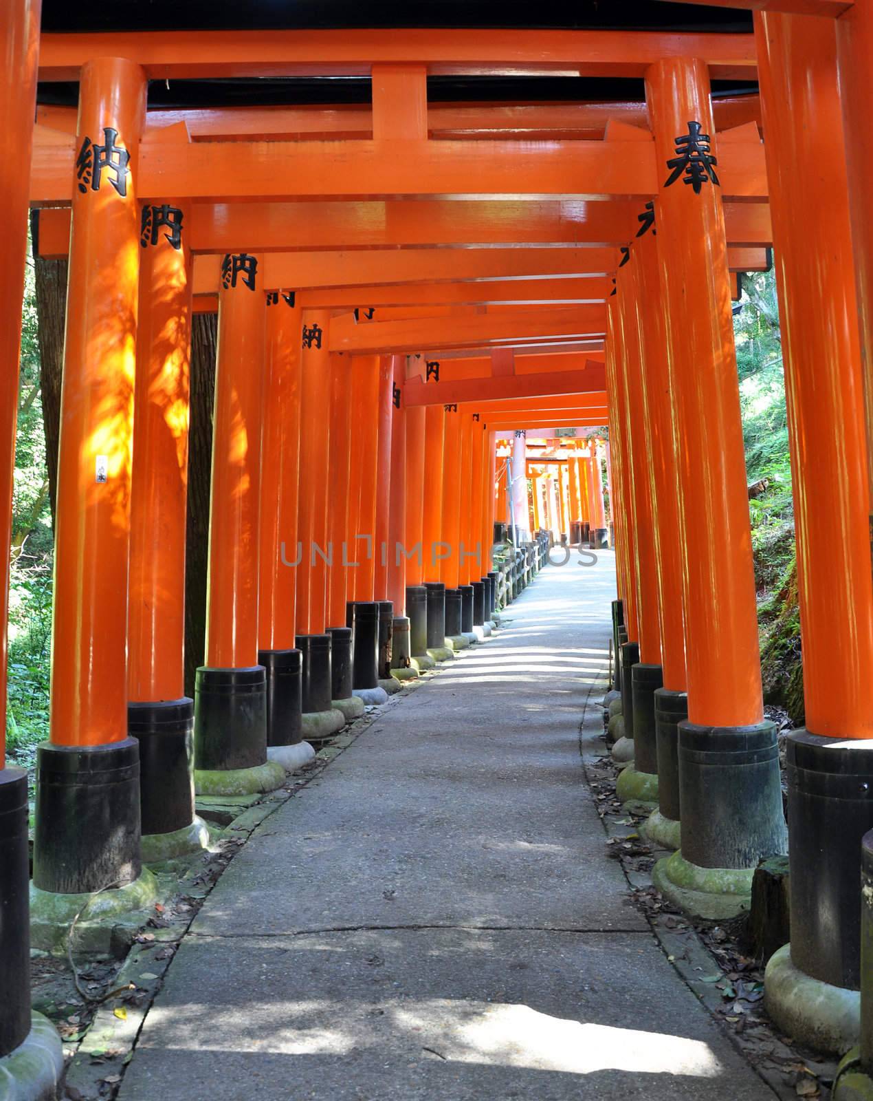  Thousand torii gates in Fushimi Inari Shrine, Kyoto, Japan  by siraanamwong
