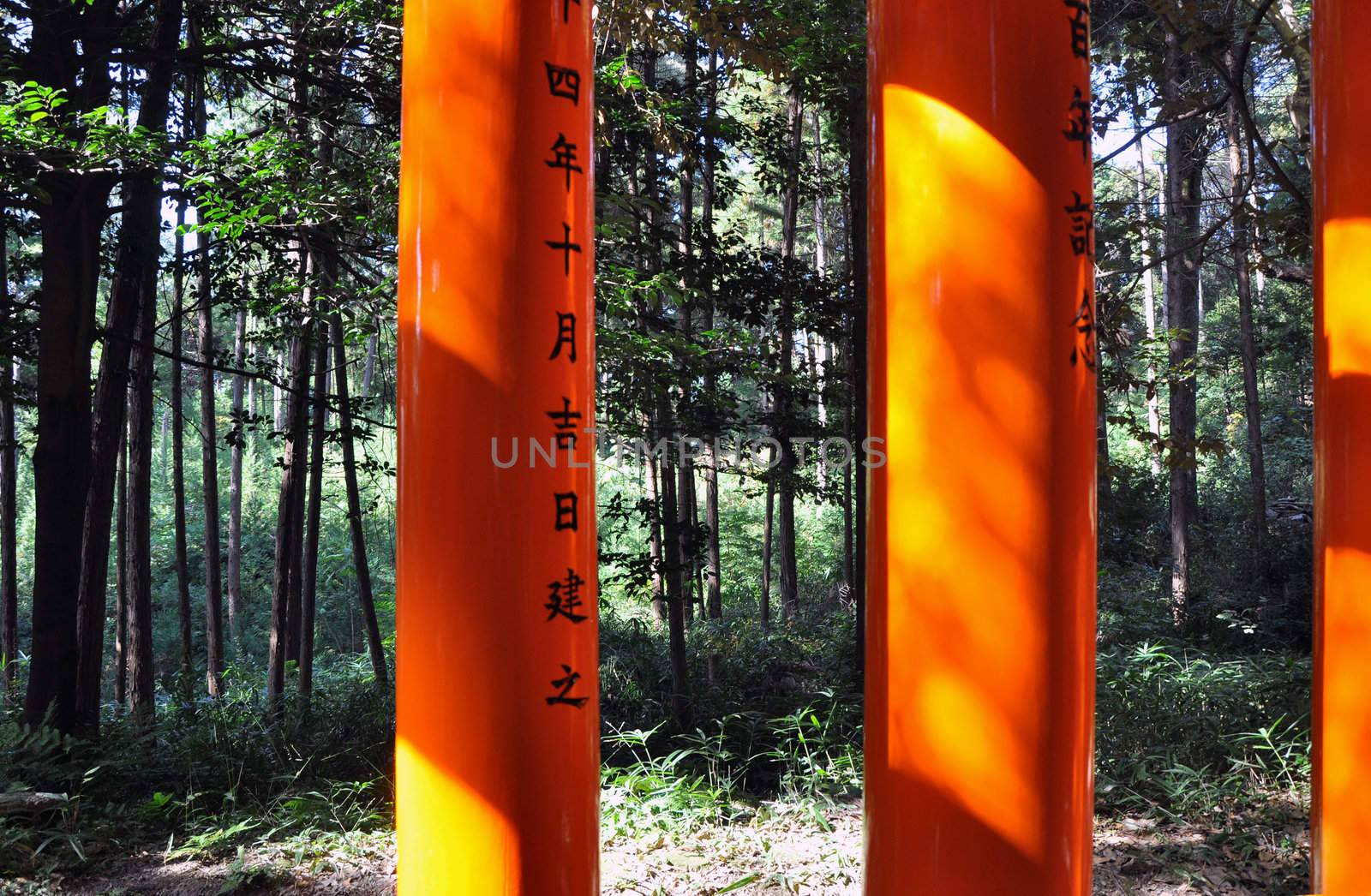 Column of Torii gates againts the nature at Fushimi Inari Shrine by siraanamwong