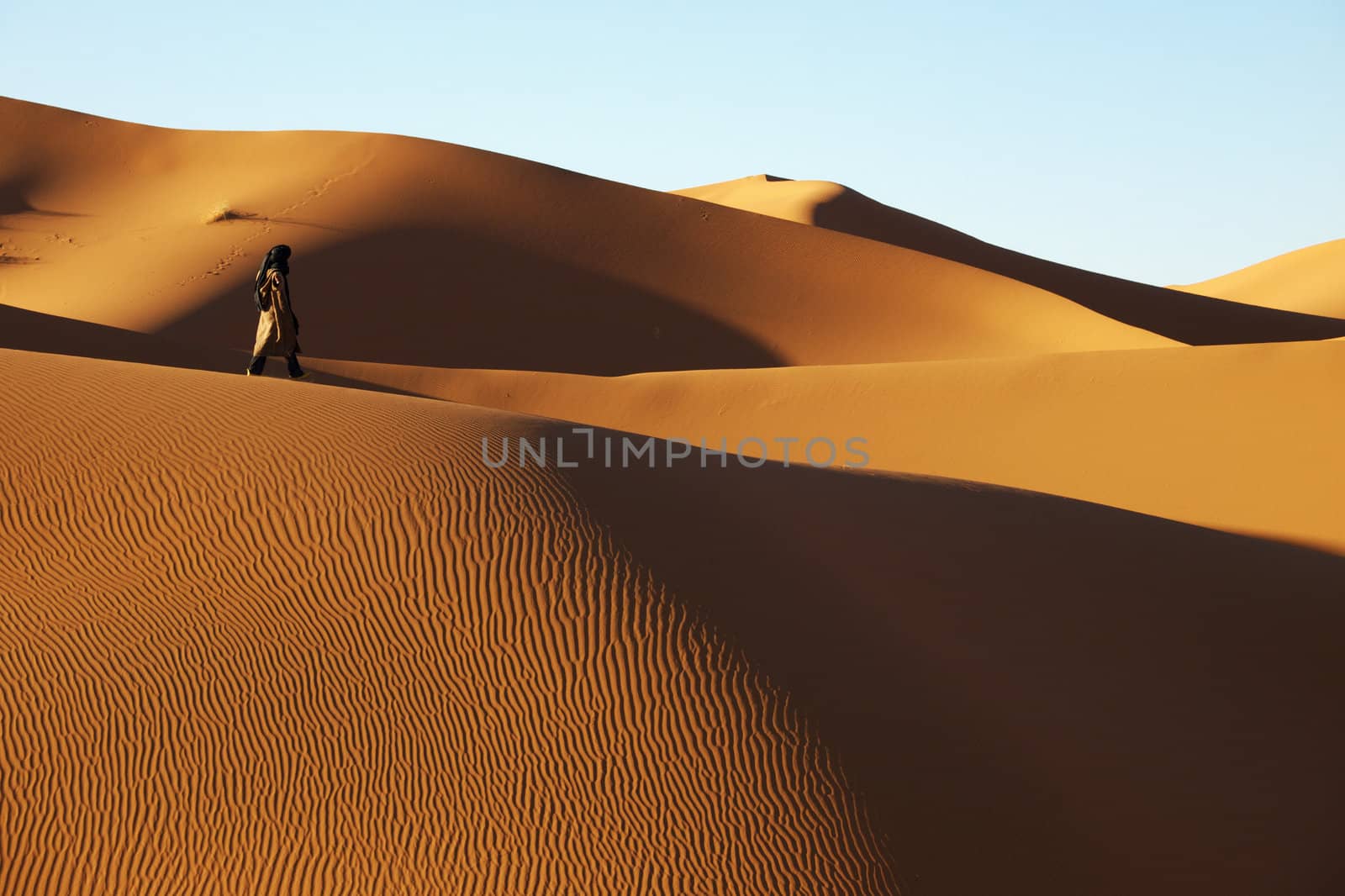 Marocco - Sahara desert 2012