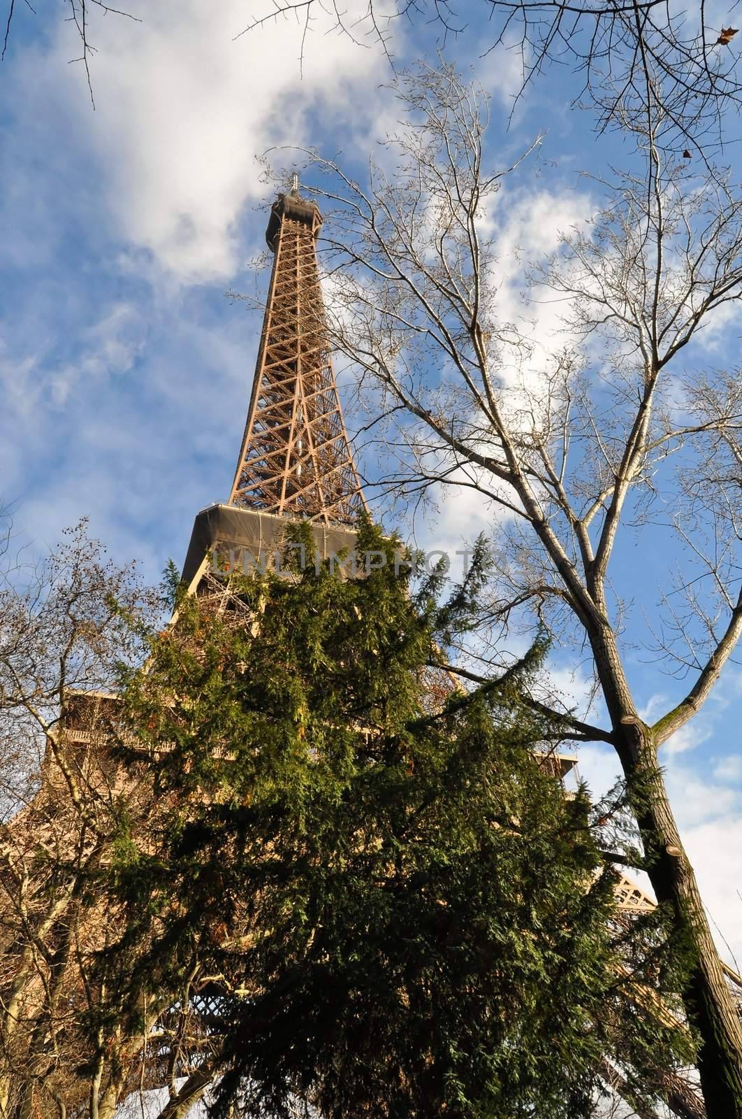 The Eiffel Tower in Paris by dutourdumonde