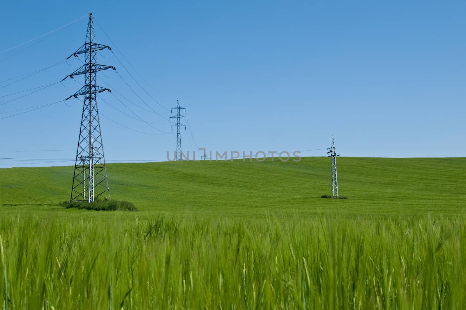 Electric pylons in Slovakia in the Rye