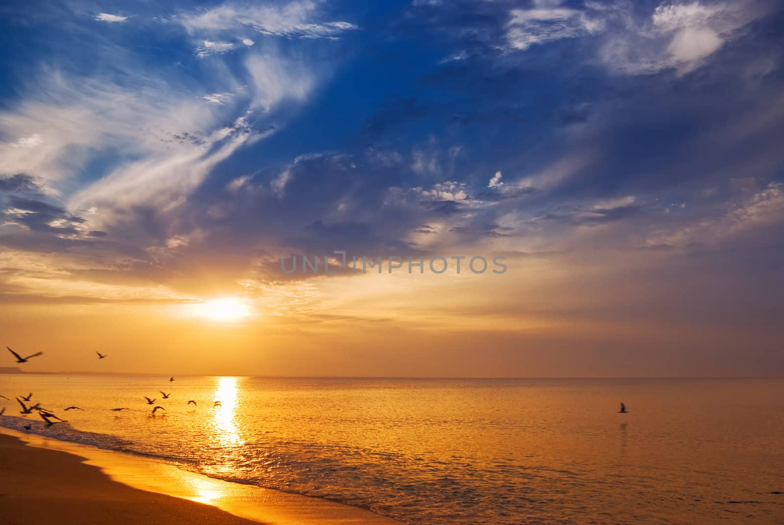 Early morning sunrise over the sea and a birds