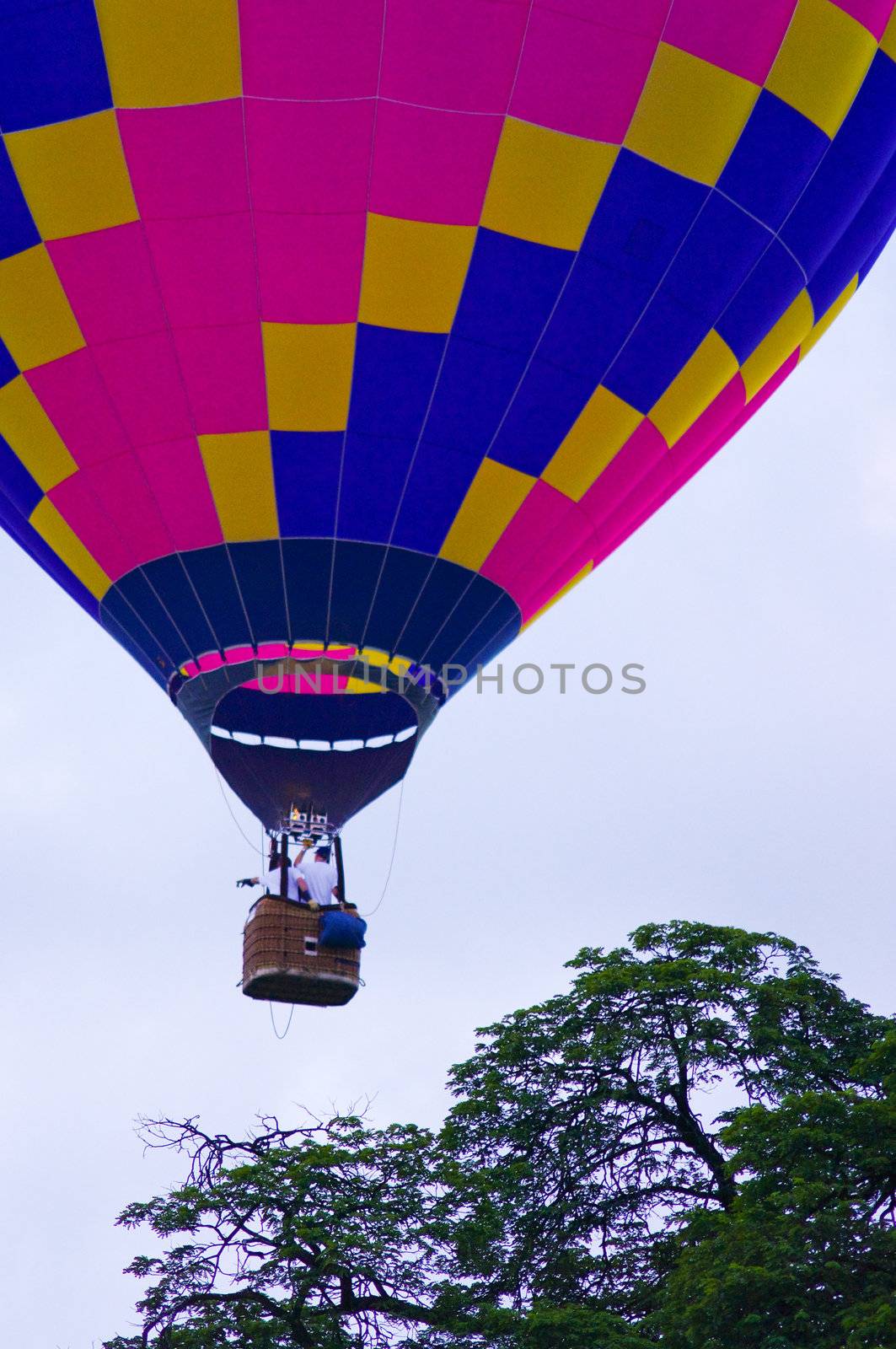 Hot air balloon in the sky with tree background by pixbox77