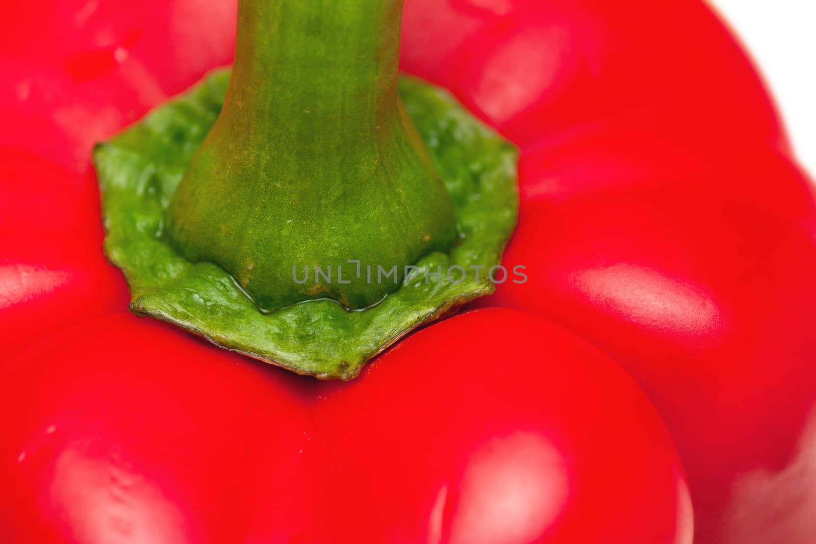 Macro view of red sweet pepper