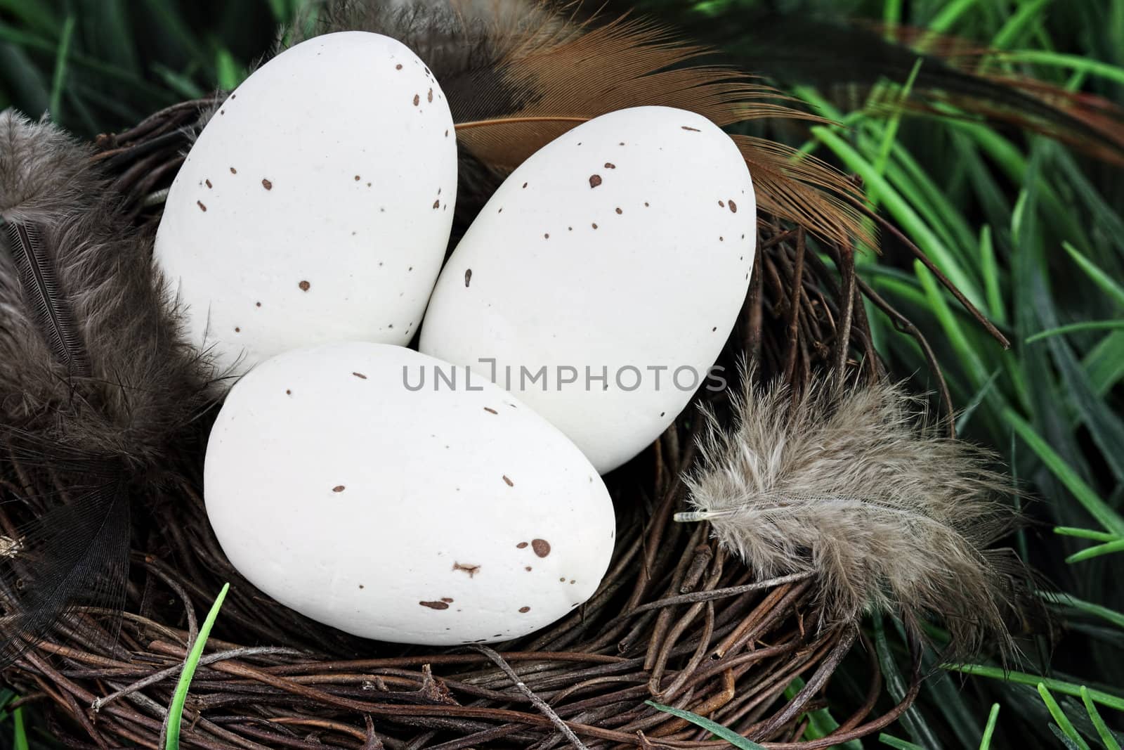 Three white speckled eggs with feathers in a nest.
