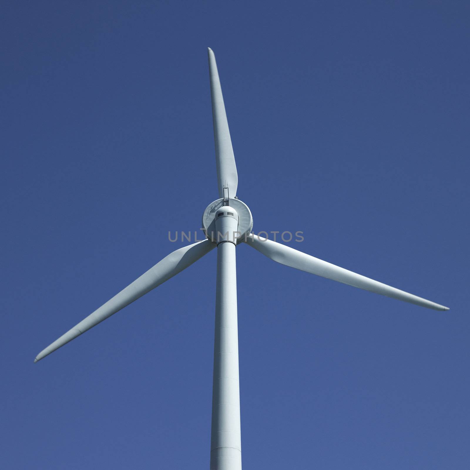Wind turbine by mmm