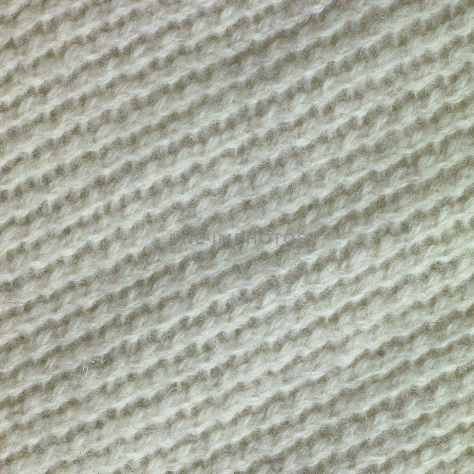 Wool closeup