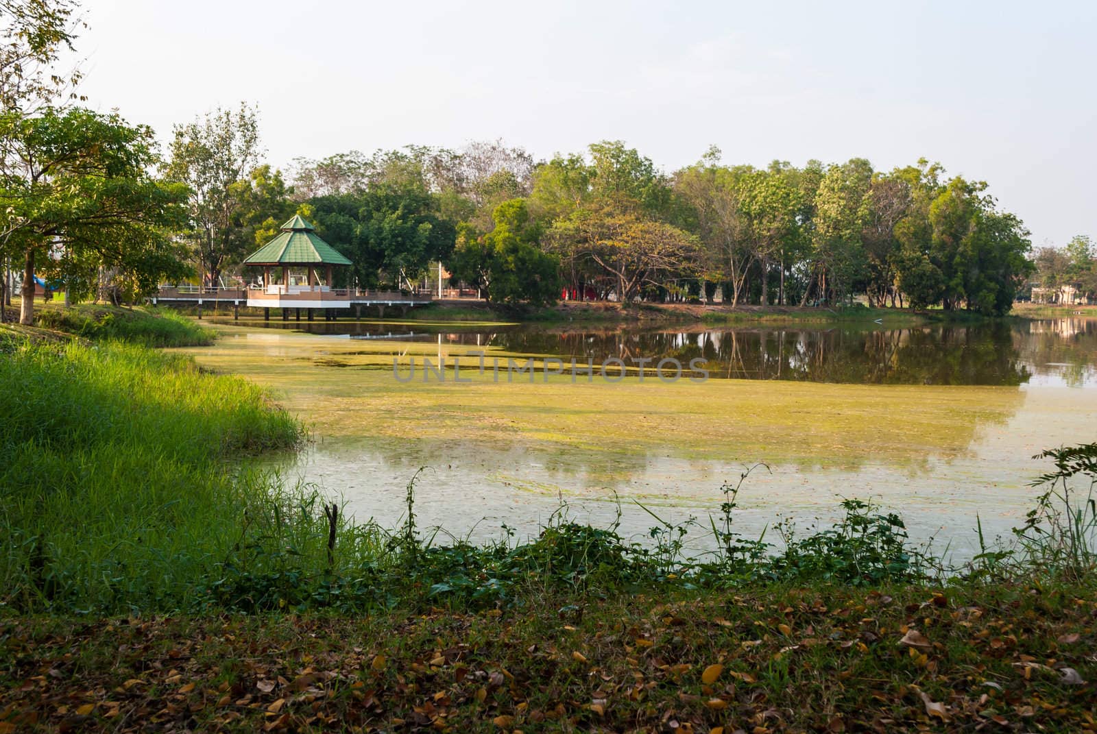 Waterfront pavillion over green lake in San Pa Tong, Chiang Mai, Thailand