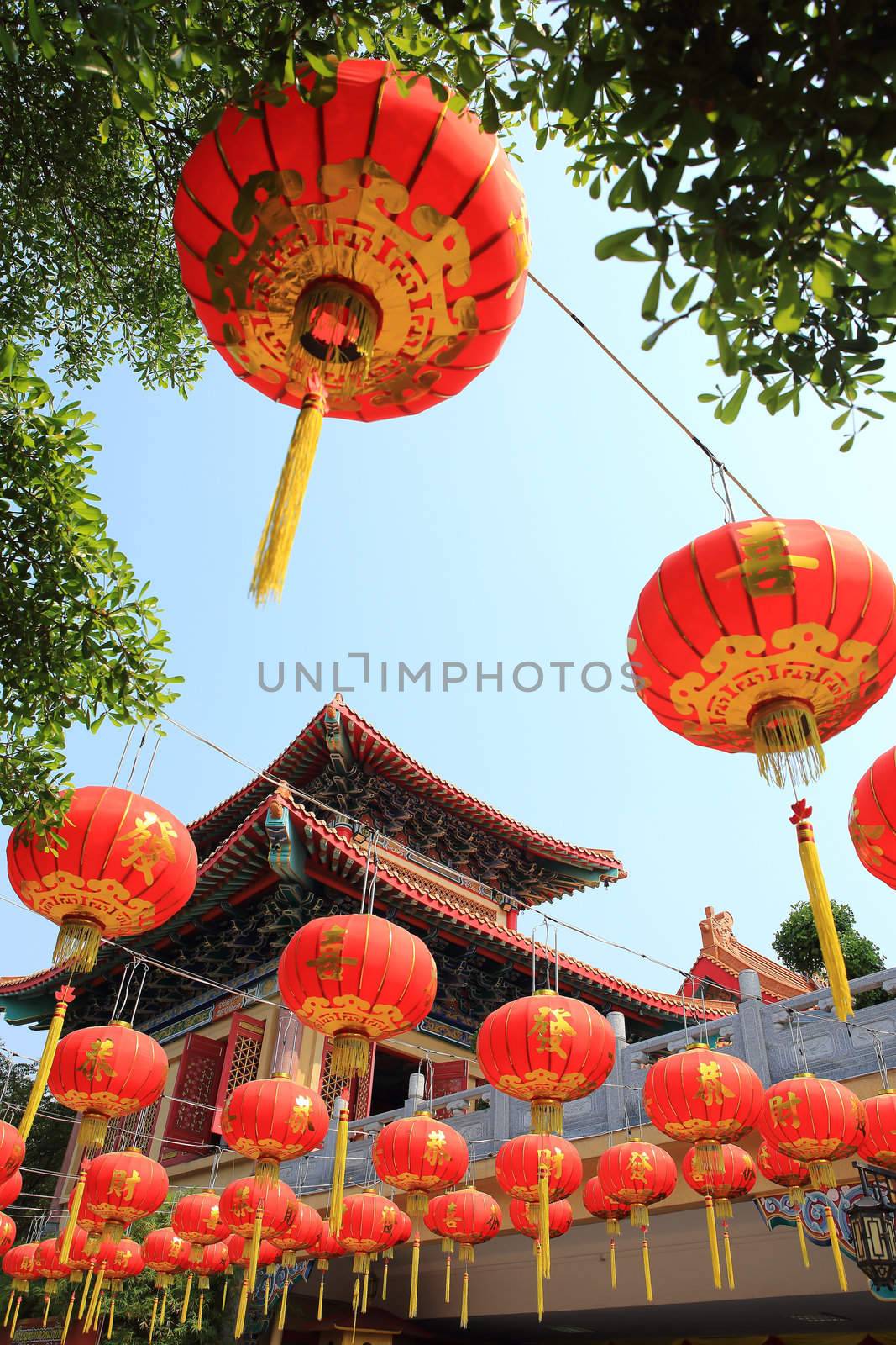 chinese lanterns by rufous