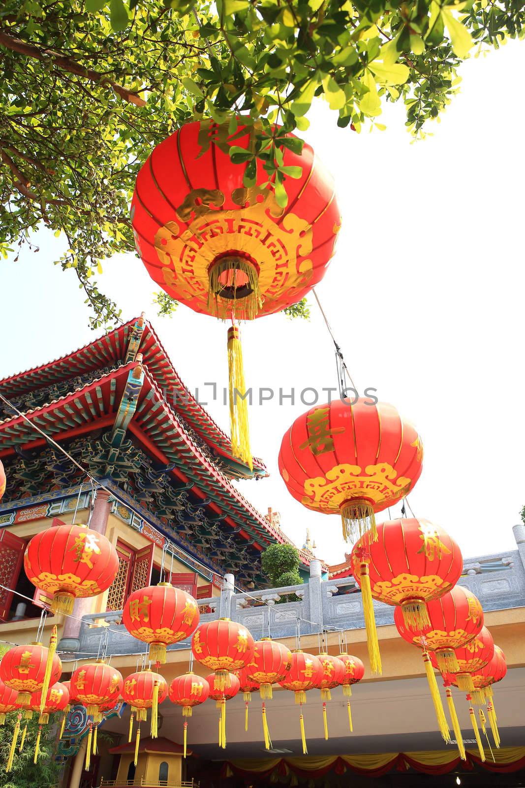 chinese lanterns by rufous