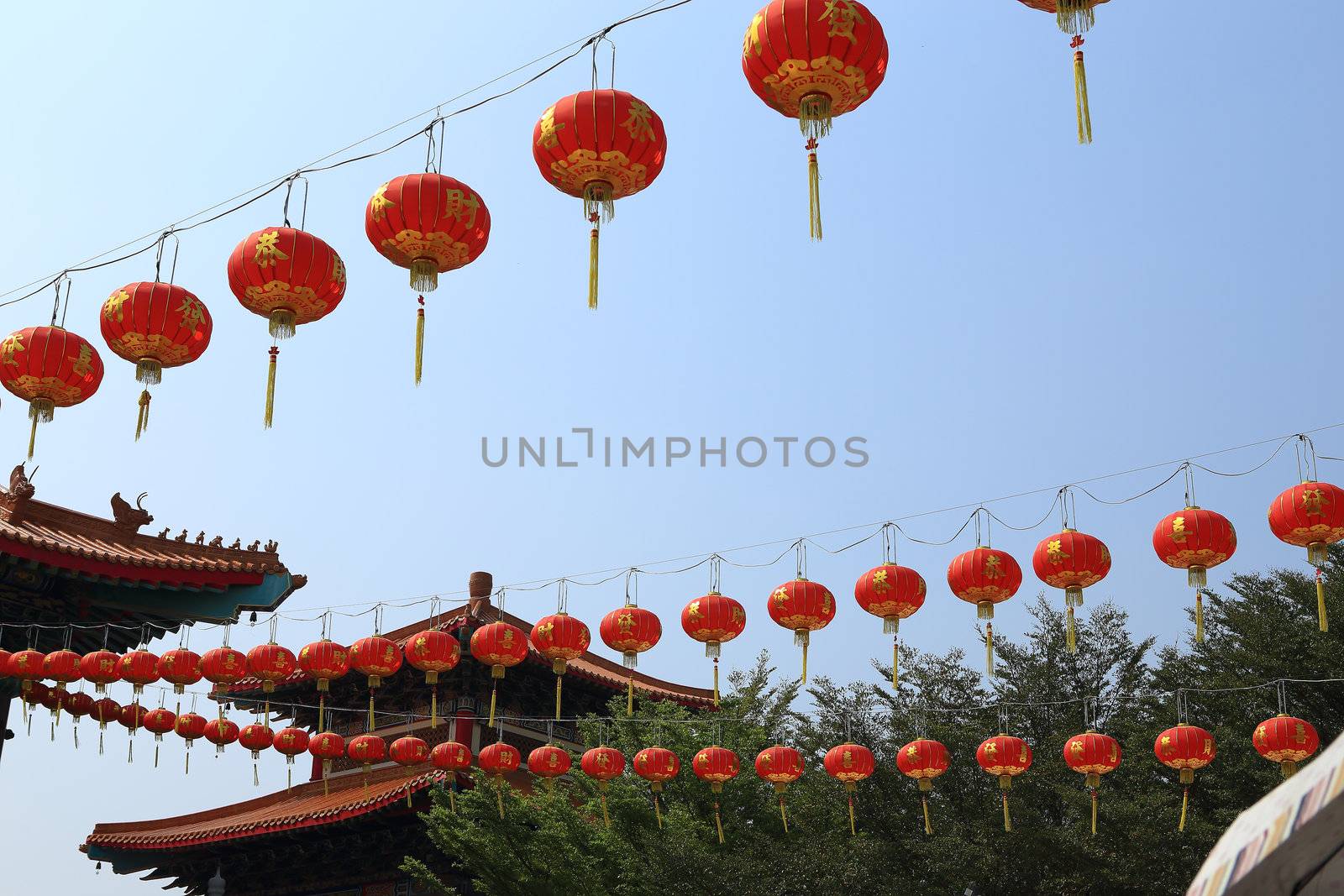 chinese lanterns